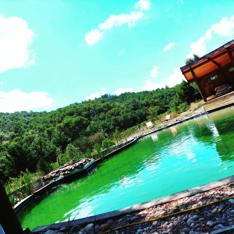 L'Etang Des Cigales Apartment Uchaux Exterior photo
